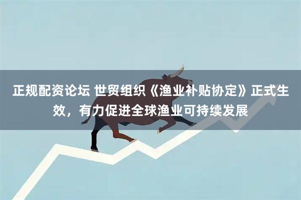 正规配资论坛 世贸组织《渔业补贴协定》正式生效，有力促进全球渔业可持续发展
